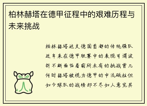 柏林赫塔在德甲征程中的艰难历程与未来挑战
